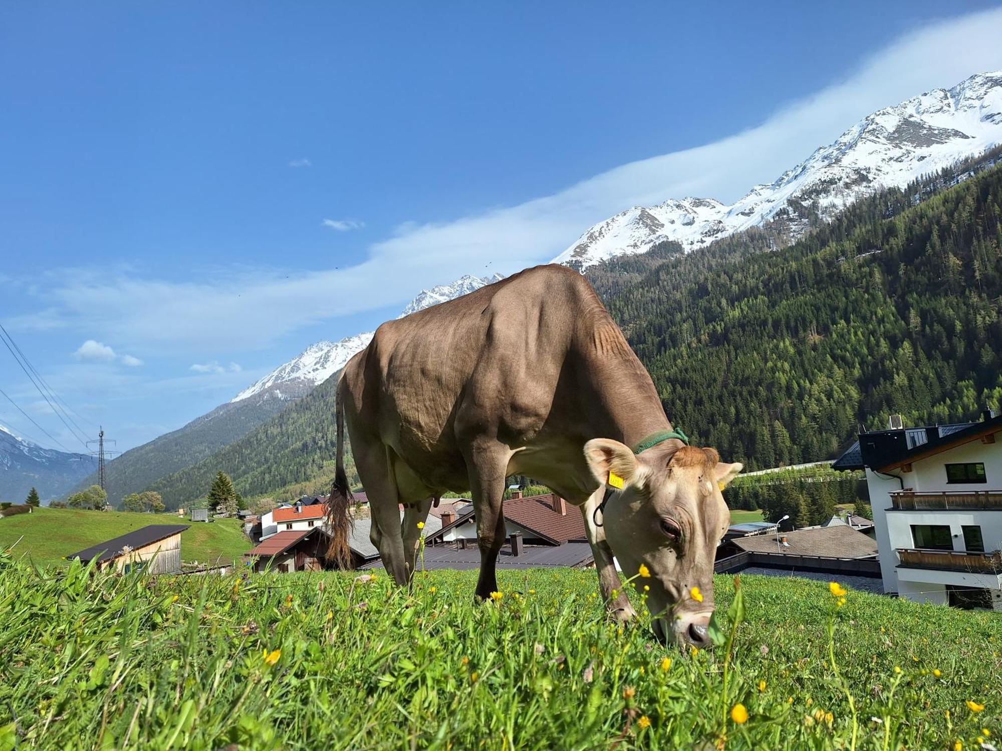 Apartamento Gsoerhof Sankt Anton am Arlberg Exterior foto